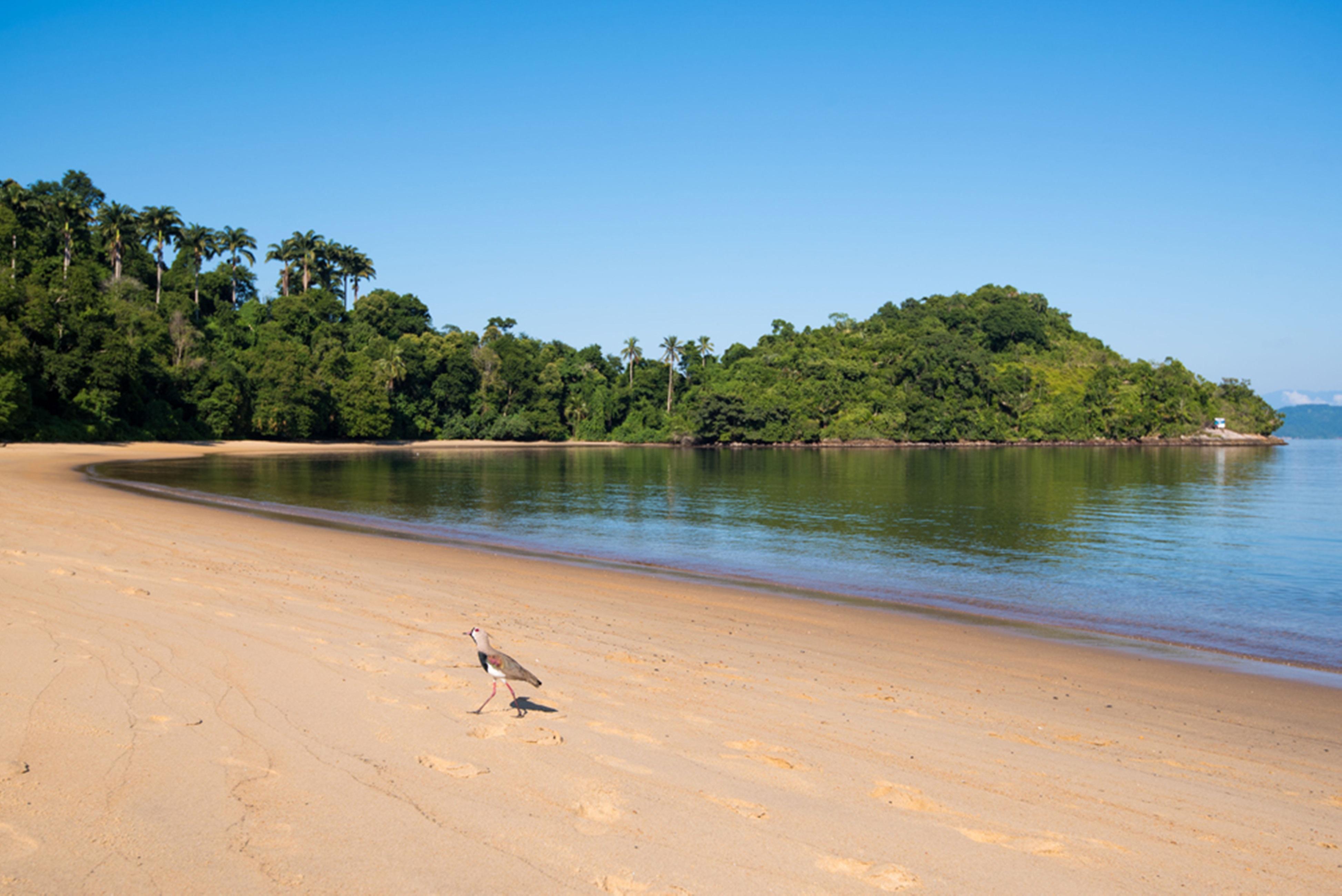 Vila Gale Eco Resort Angra Ангра-дус-Рейс Екстер'єр фото Beach at the park
